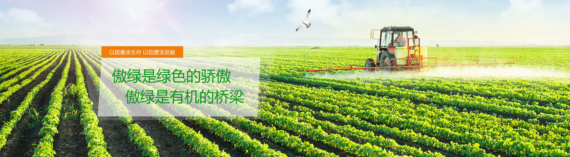 首页变幻图