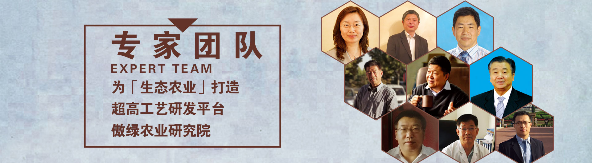 专家